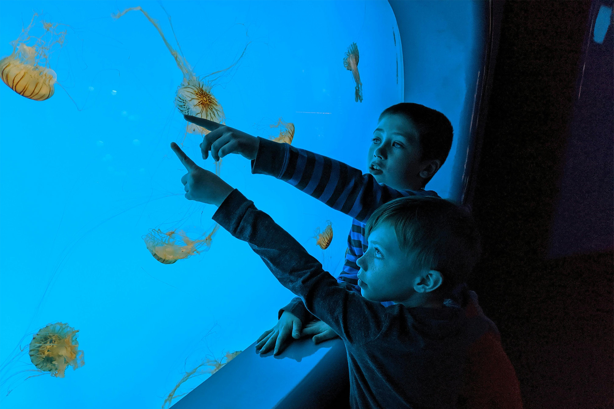 kids_aquarium-2k